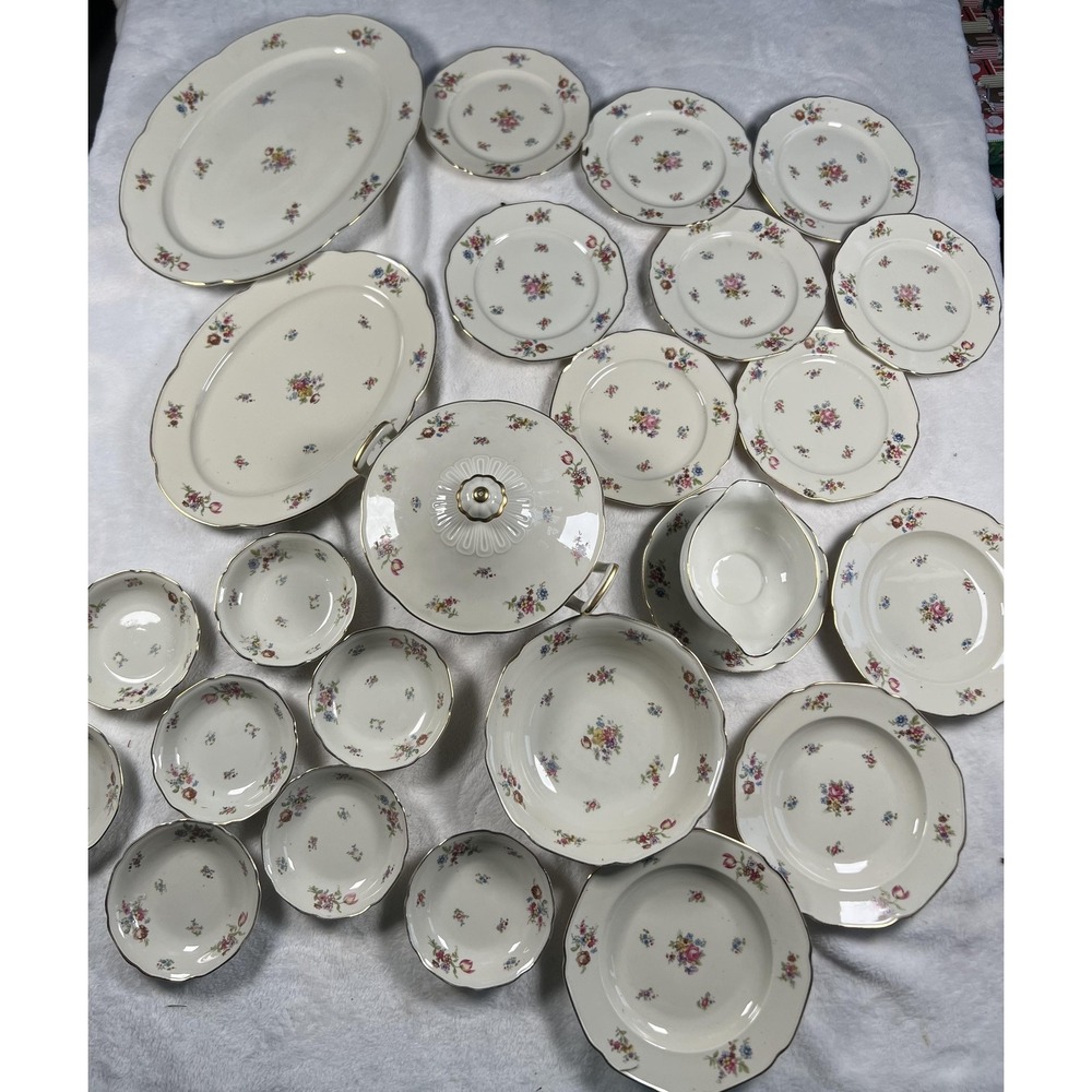 Vintage Tirschenreuth Bavaria Colwyn 242 China Set Floral Gold Trim‎ Germany